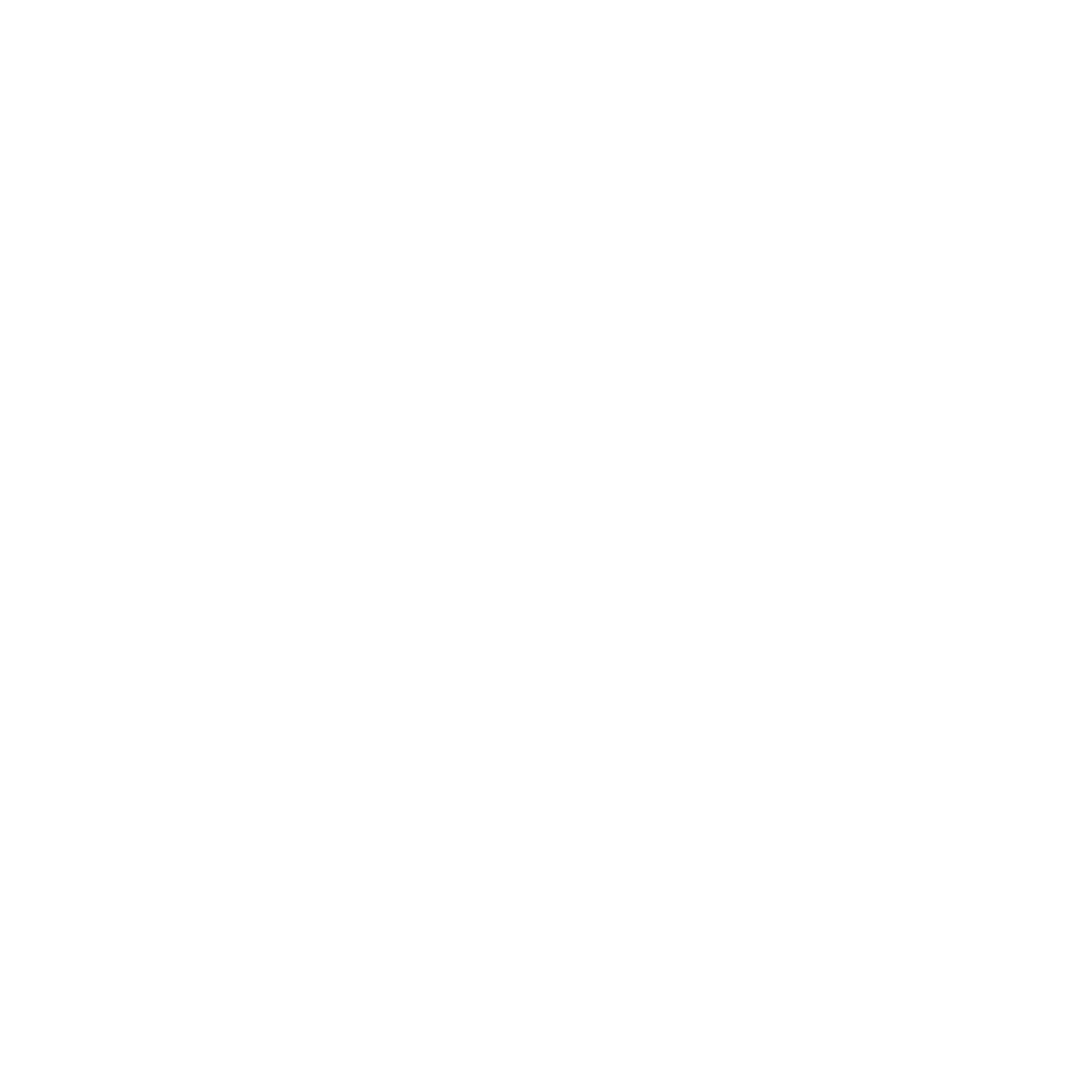 Flapper Fitness Stempellogo wit 